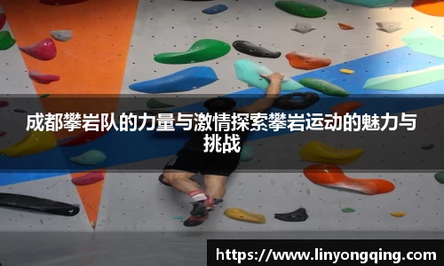 成都攀岩队的力量与激情探索攀岩运动的魅力与挑战